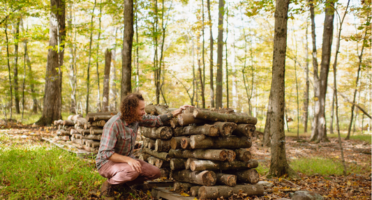 What is forest farming?