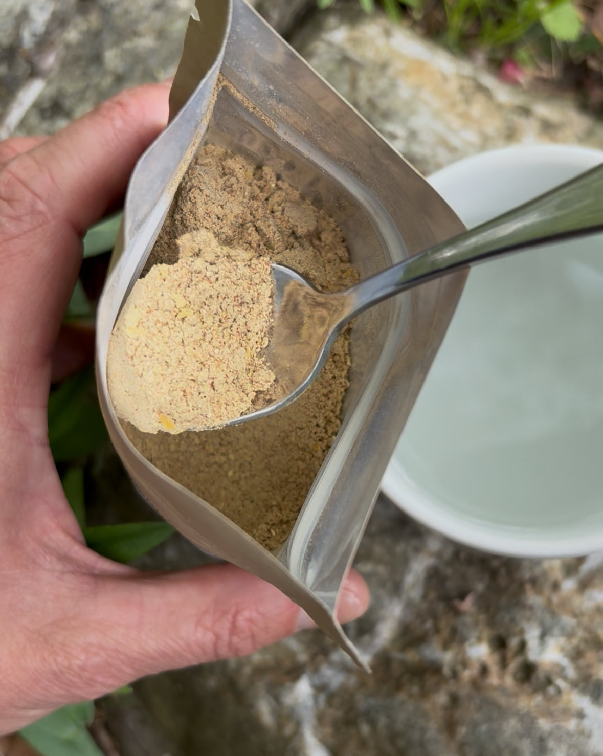 Biome Broth π