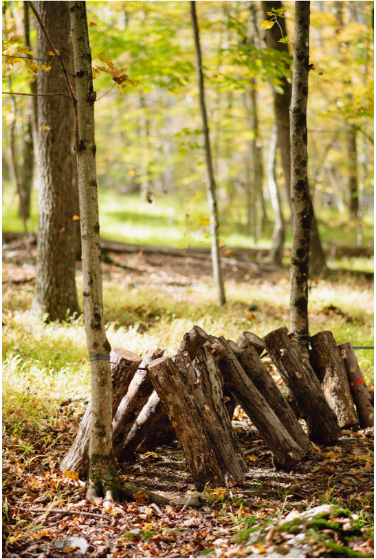 Shiitake Inoculation 101