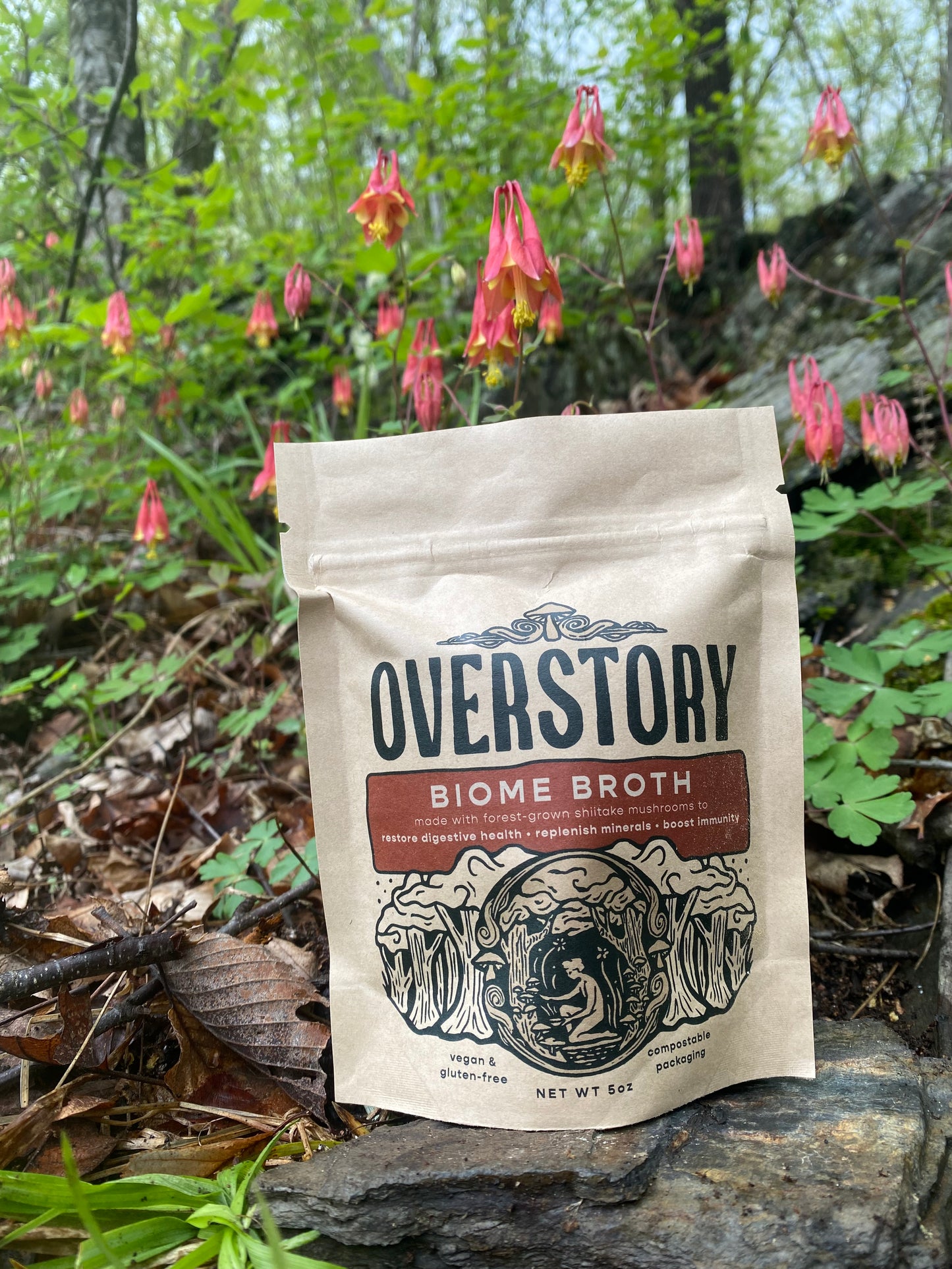Biome Broth 🍄