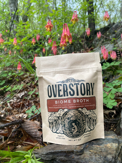 Biome Broth 🍄